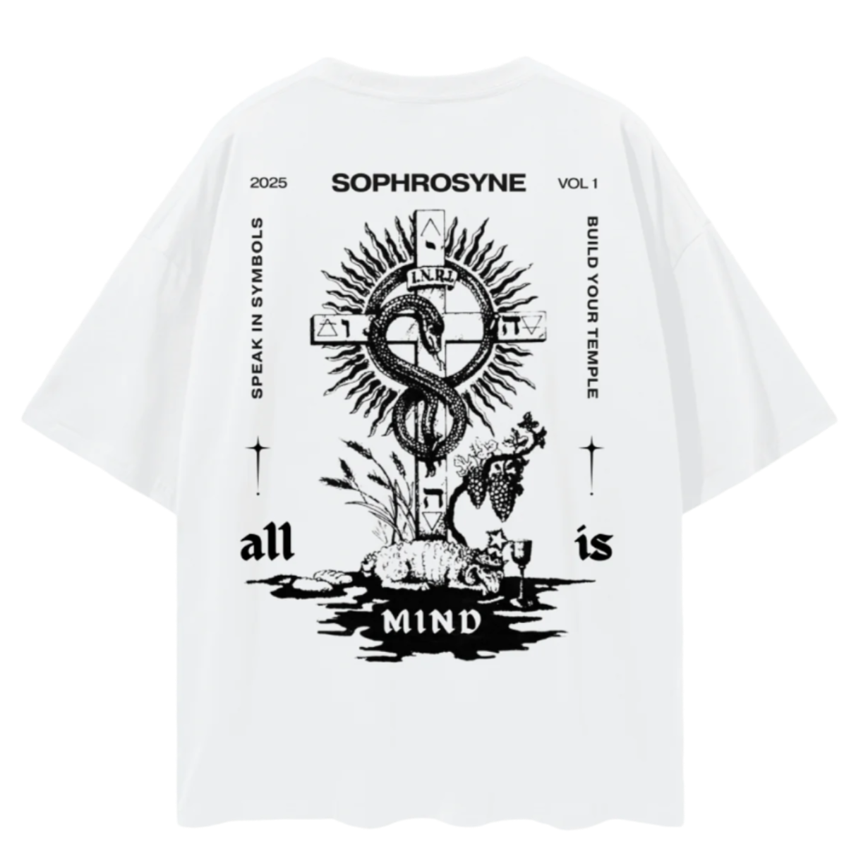 Visions Beyond the Vail - Oversized style T-shirt