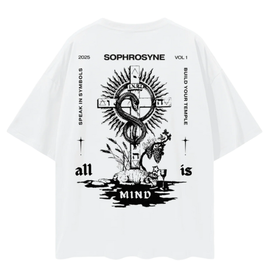 Visions Beyond the Vail - Oversized style T-shirt