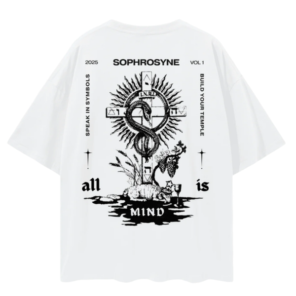 Visions Beyond the Vail - Oversized style T-shirt